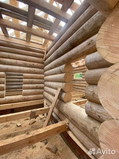 Сруб дома, бани