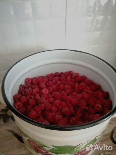 Малина садовая