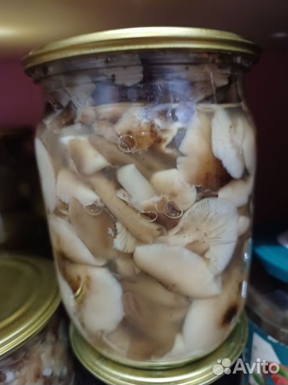 Соленья домашние