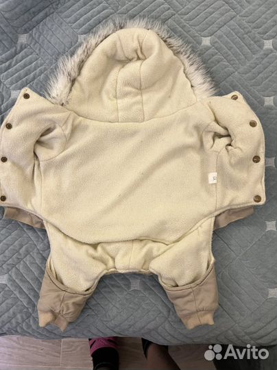 Одежда для собак зима