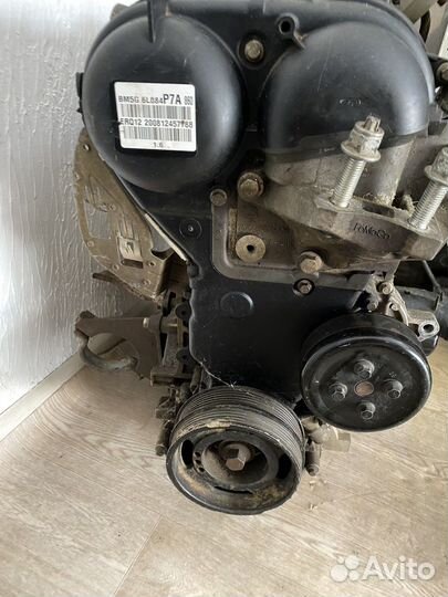 Двигатель Ford Focus iqda 1,6