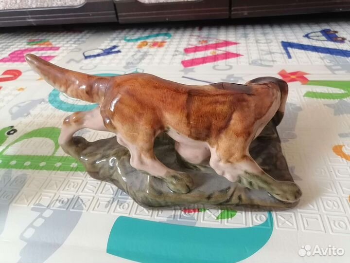 Собака с добычей