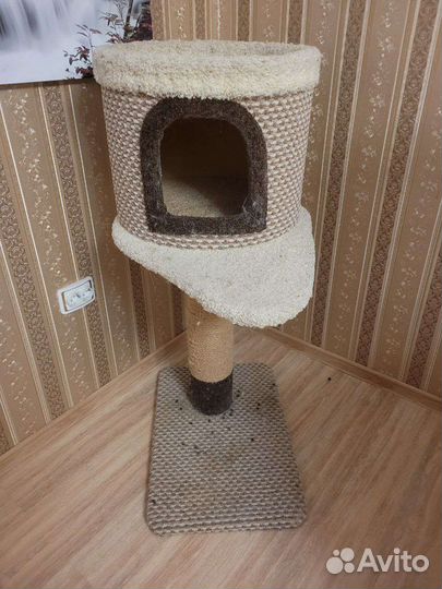 Кошачий домик