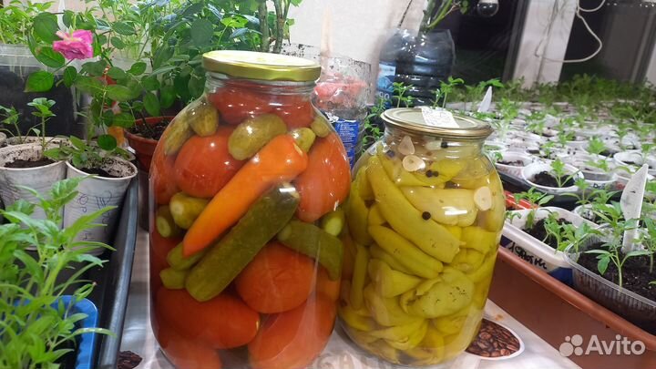 Вкусняшки из погребка