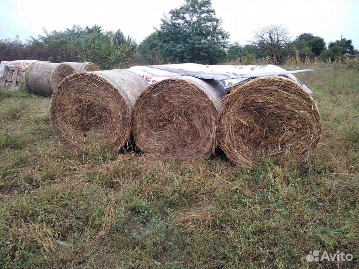 Продаю сено люцерны, разнотравие и солому
