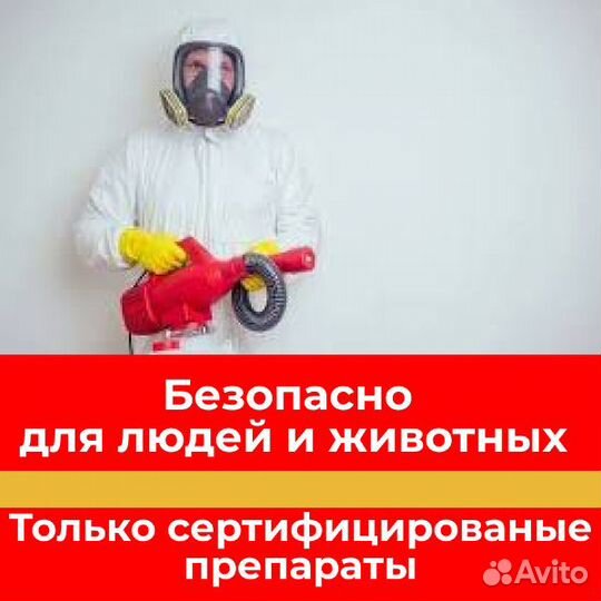 Дезинфекция