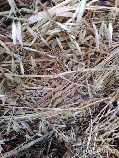 Сенаж в рулонах 2023 года