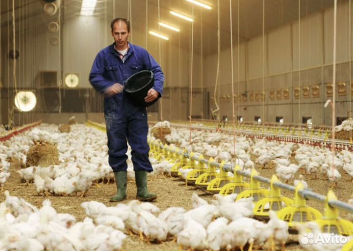 Вахта. Сухарики в Москве. Упаковщик. от 30 смен