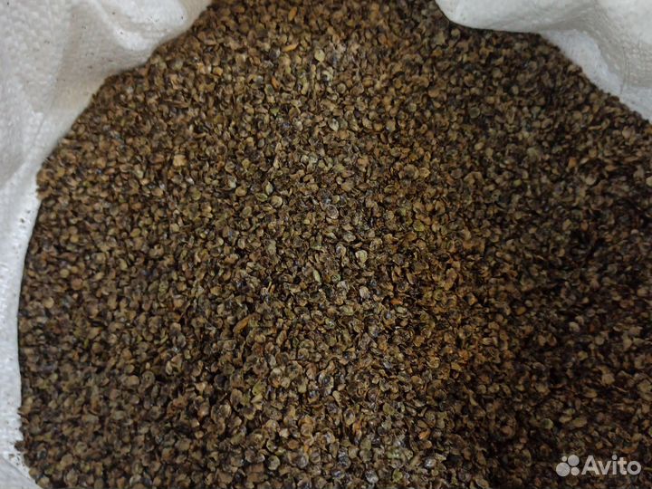 Конопляный жмых