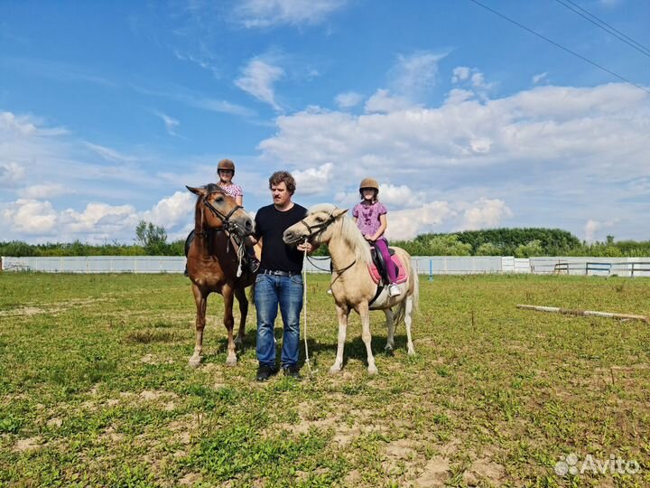 Постой лошадей, большой манеж, выпас новая конюшня