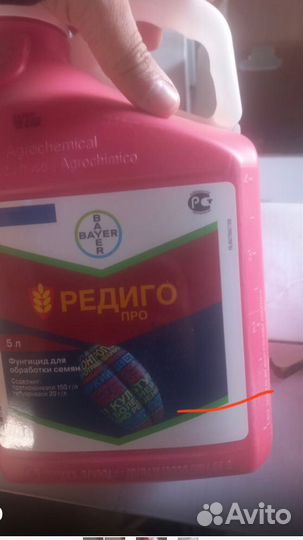 Редиго про