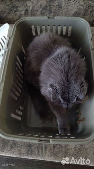 Переноска для животных