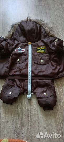 Одежда для собак