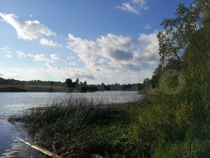 Участок 6,41 га (СНТ, ДНП)