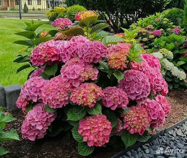 Торф Земля Перегной Торфогрунт, Щебень Песок Отсев