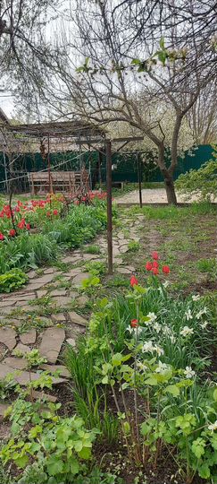 Дом 120 м² на участке 13 сот.