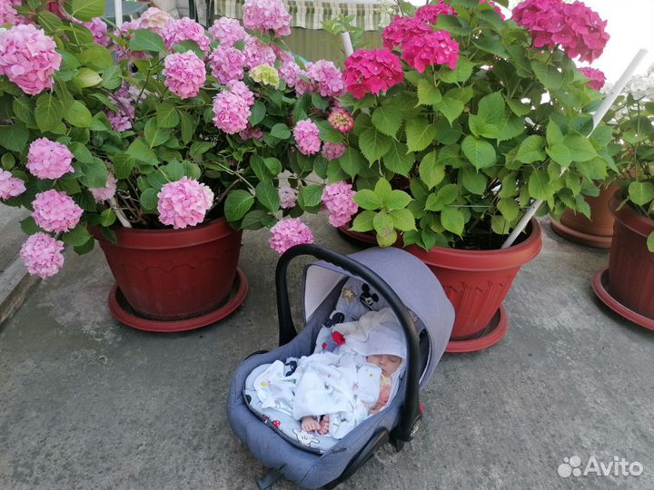 Коляска tutis 3 в 1