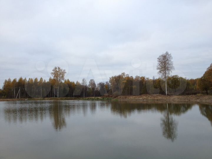 Участок 60 сот. (СНТ, ДНП)