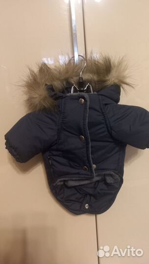 Одежда для собак мелких пород