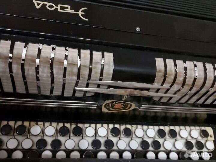 Баян тульский