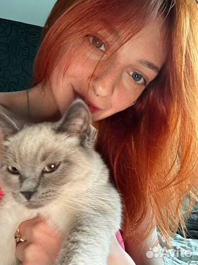 Передержка кошек и собак на время отпуска