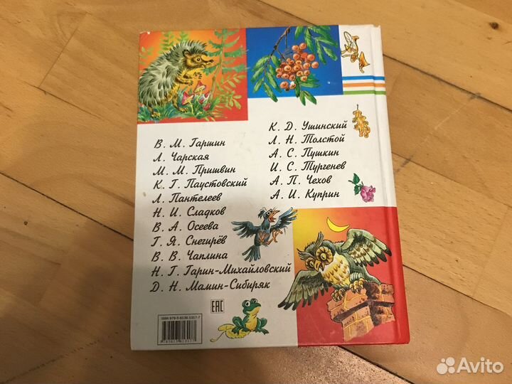 Книга внеклассное чтение