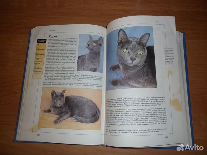 Кошки - справочник 2001 г. (Капра, Роботти)