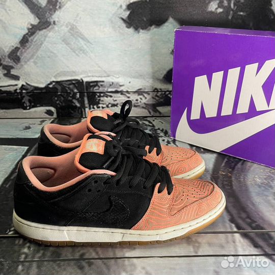 Кроссовки Nike Dunk Low Pro SB Fish Ladder