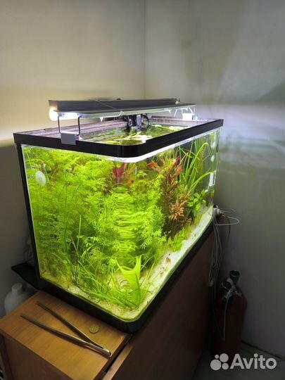 Фирменный аквариум Jebo 70л