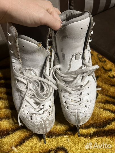 Фигурные коньки risport 230