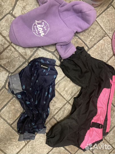 Шлейки и одежда для маленькой собаки