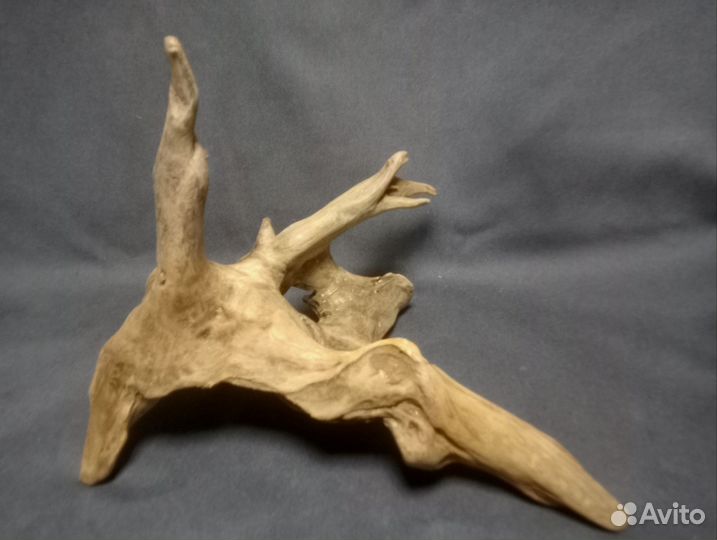 Коряжки для аквариума. Дрифтвуд. Декор