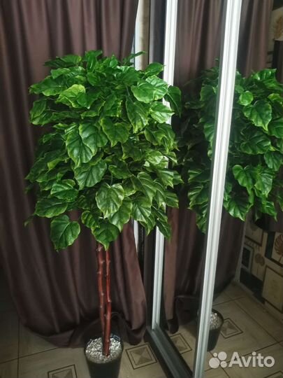 Искусственное дерево, интерьерное дерево