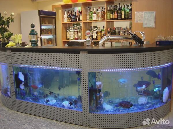 Обслуживание аквариумов в Самаре
