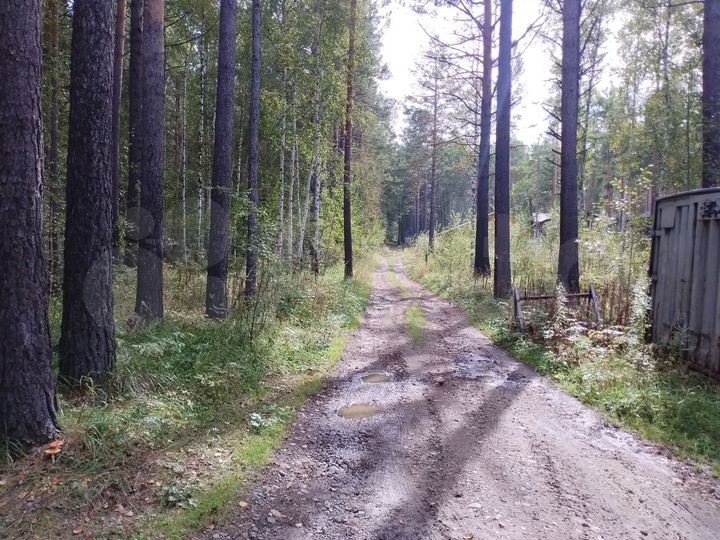 Участок 15 сот. (СНТ, ДНП)