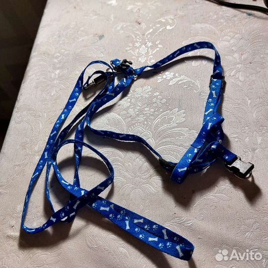 Шлейка для собак