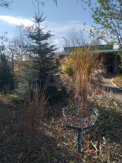 Дача 24 м² на участке 2,8 га