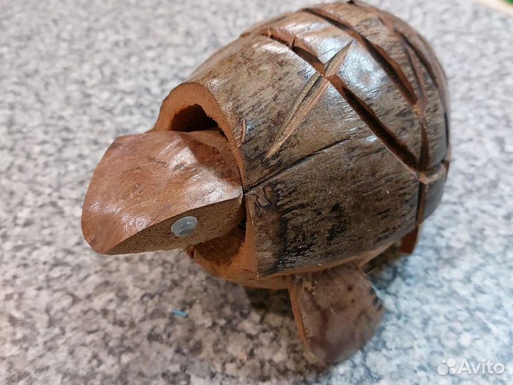 Черепаха декоративная