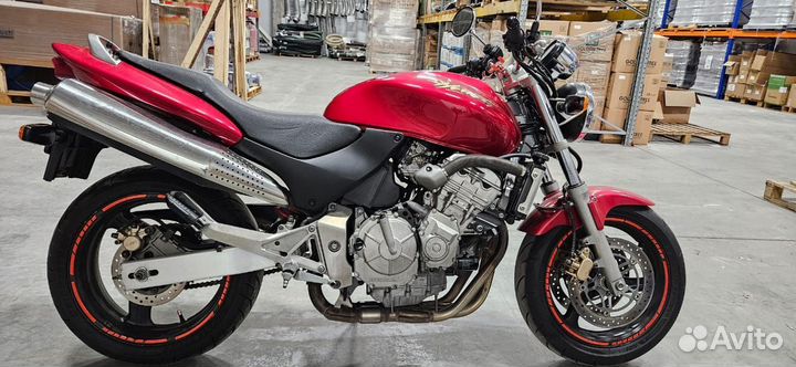 Honda hornet