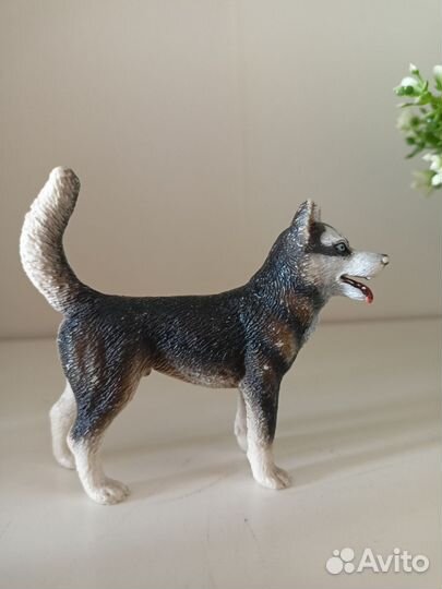 Собаки schleich