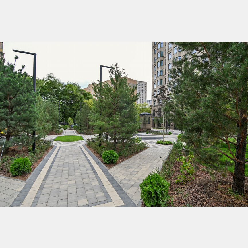 3-к. квартира, 81,1 м², 10/19 эт.