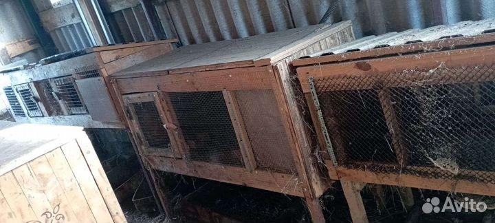 Крольчатник