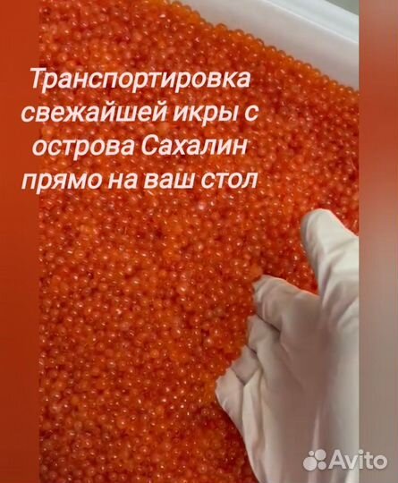 Икра горбуши