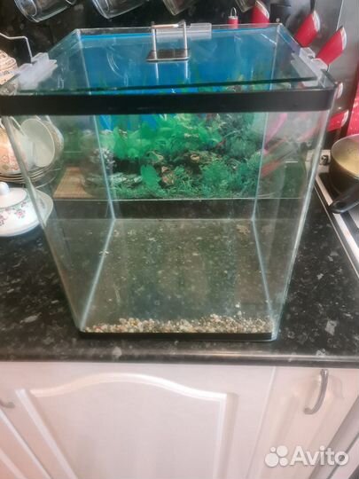 Аквариум