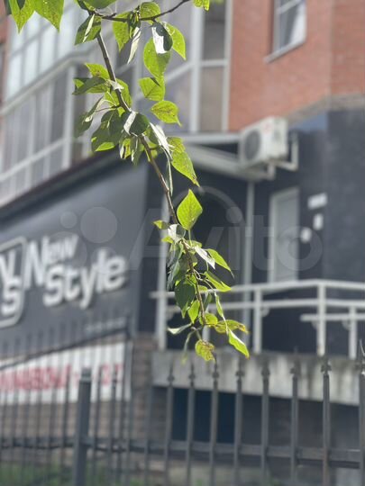 Свободного назначения, 105 м²