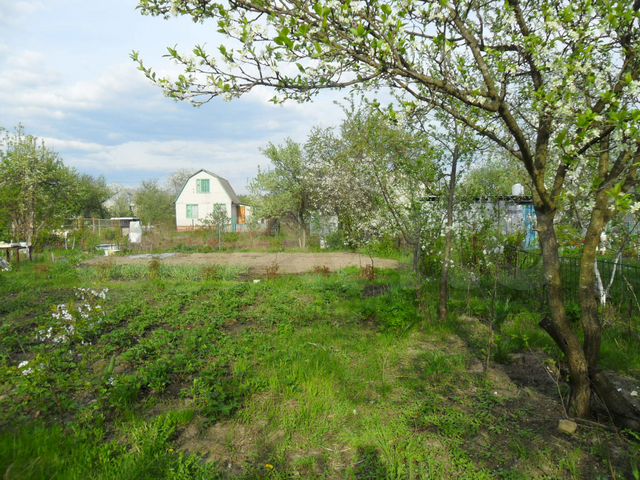 Курская область участки. СНТ Озерное. Village - село. Деревня рядом с городом. СНТ Курск электроподстанция.