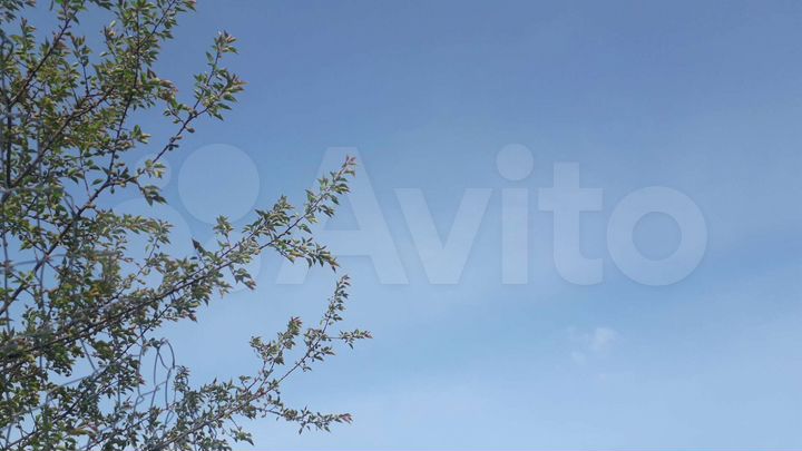 Дом 70 м² на участке 6 сот.