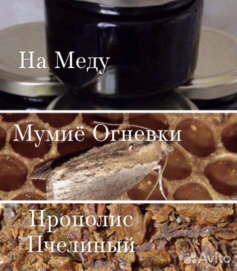 Огневка Пчелиная с Прополисом на меду