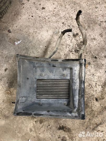 Радиатор масляный Infiniti Fx50 S 51 VK50VE