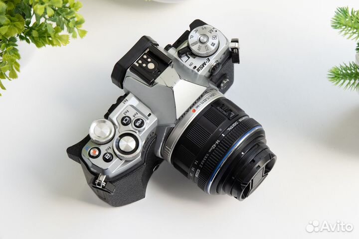 Olympus OM-D E-M5 Mark II Kit